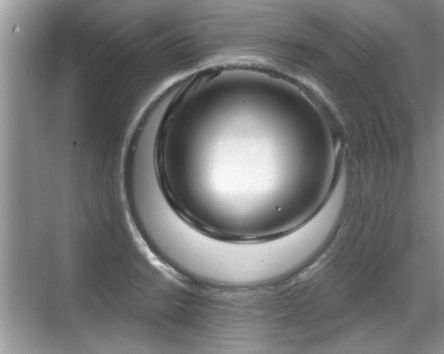 X0000070361038200606121204