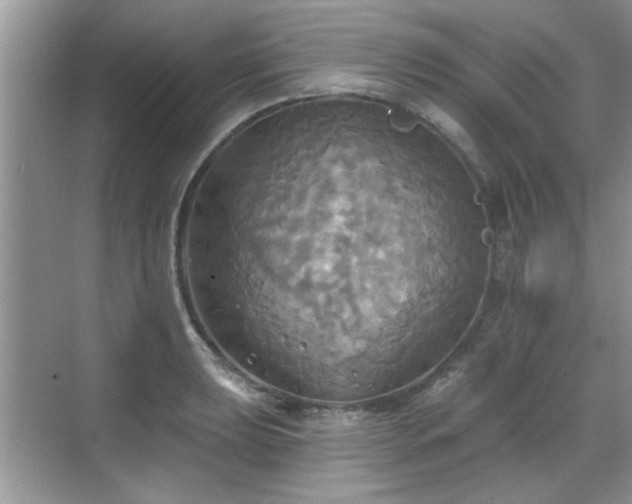 X0000070361039200606121204