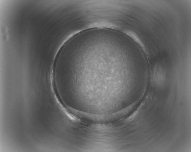 X0000070361040200606121204