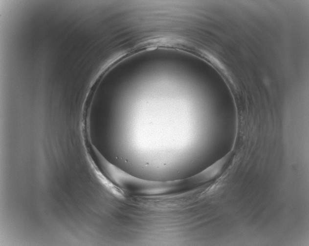 X0000070361042200606121204