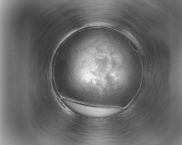 X0000070361044200606121204