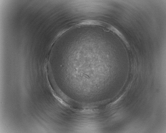 X0000070361049200606121204