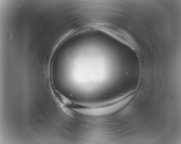 X0000070361050200606121204