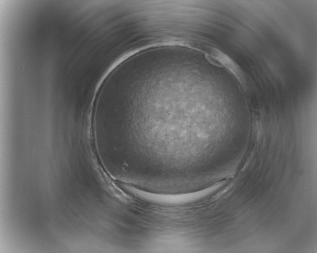 X0000070361052200606121204