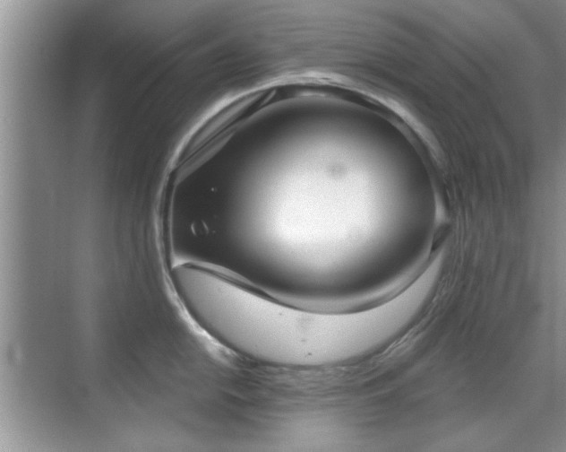 X0000070361054200606121204