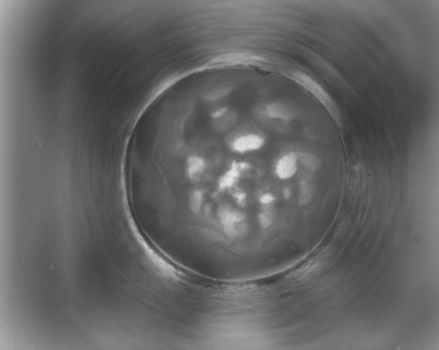 X0000070361055200606121204