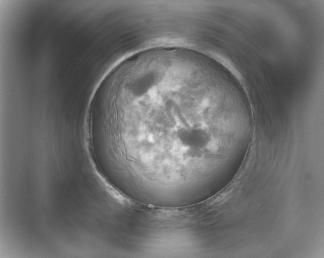 X0000070361056200606121204