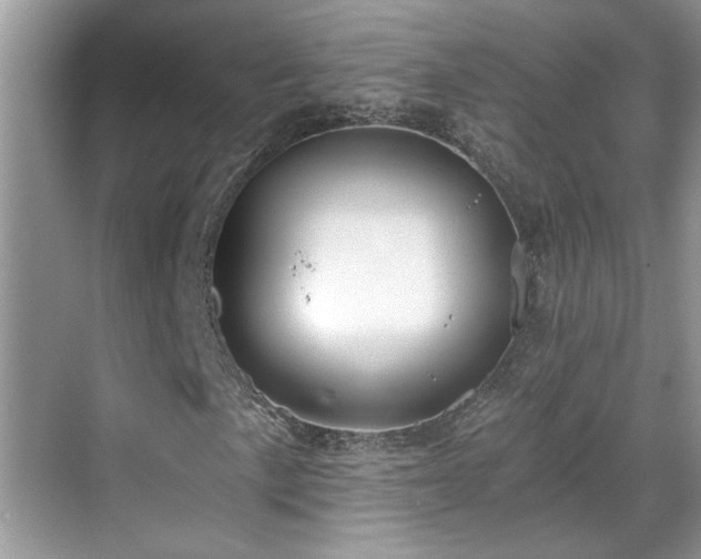 X0000070361057200606121203