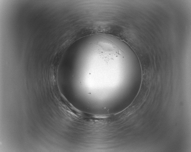 X0000070361058200606121203