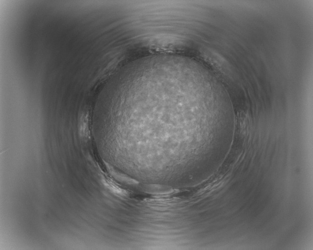 X0000070361060200606121203