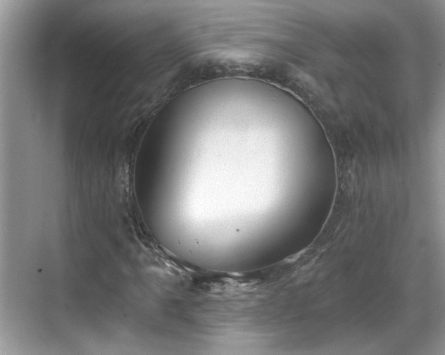 X0000070361061200606121203