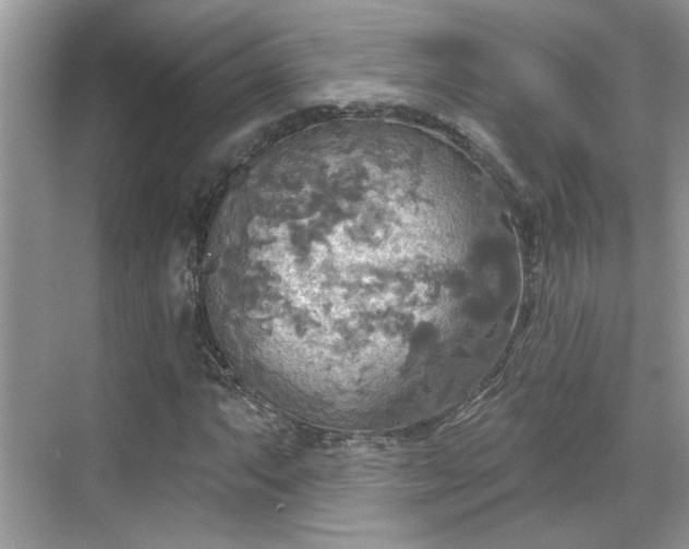 X0000070361063200606121203