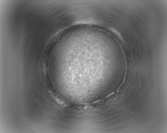 X0000070361064200606121203