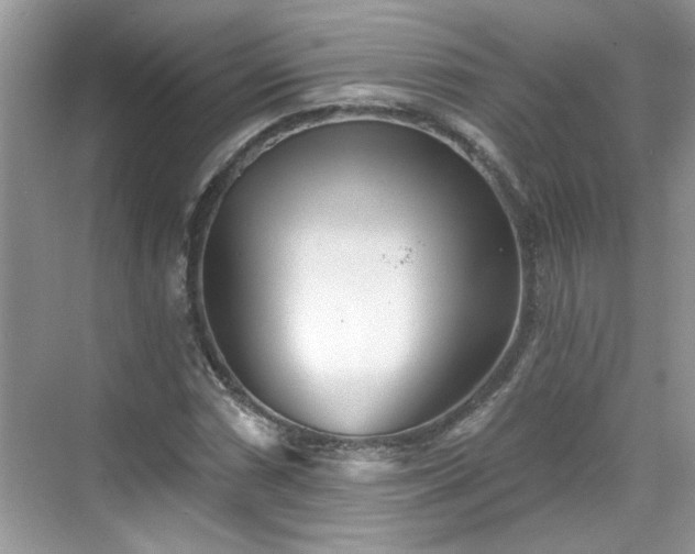 X0000070361066200606121203