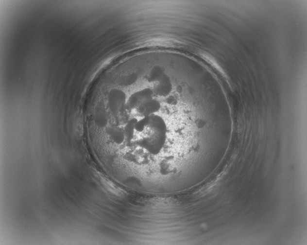 X0000070361067200606121203