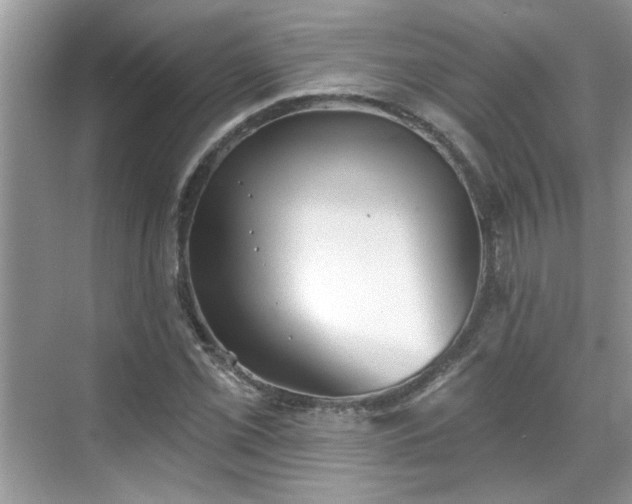 X0000070361069200606121203