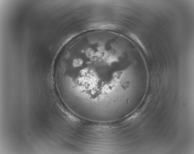 X0000070361071200606121203