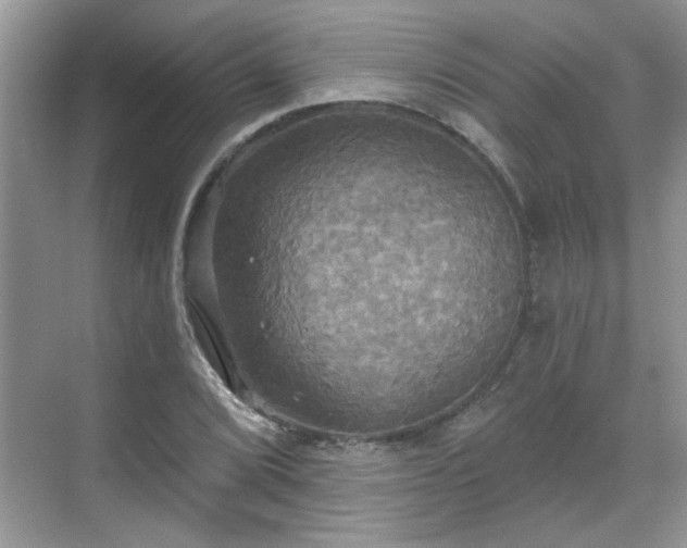 X0000070361072200606121203