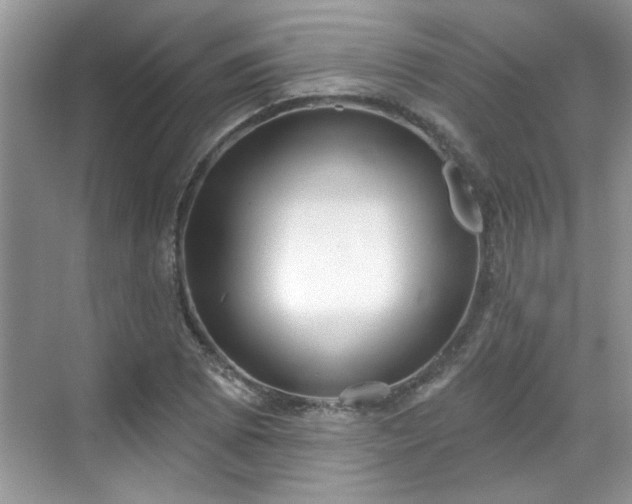 X0000070361073200606121203