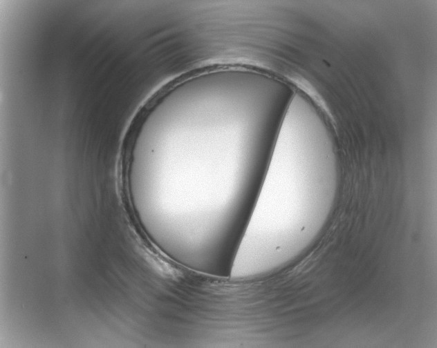 X0000070361076200606121203