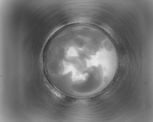 X0000070361078200606121203