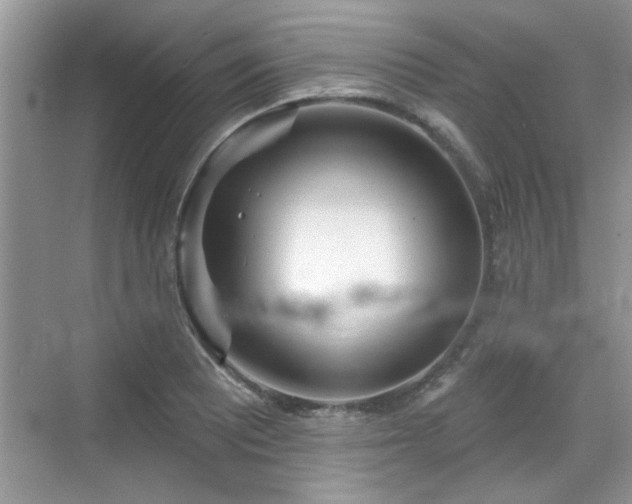 X0000070361081200606121203