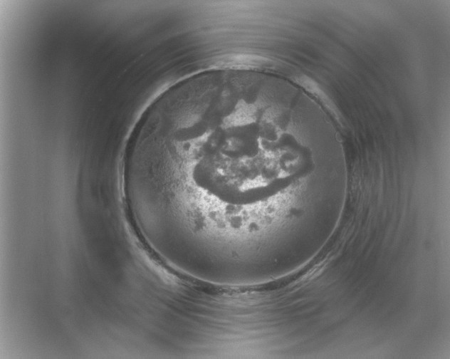 X0000070361083200606121203