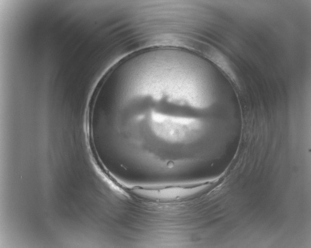 X0000070361084200606121203