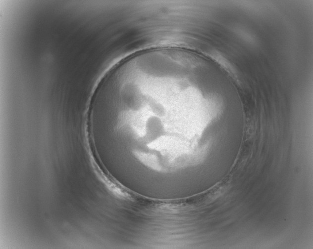 X0000070361086200606121203