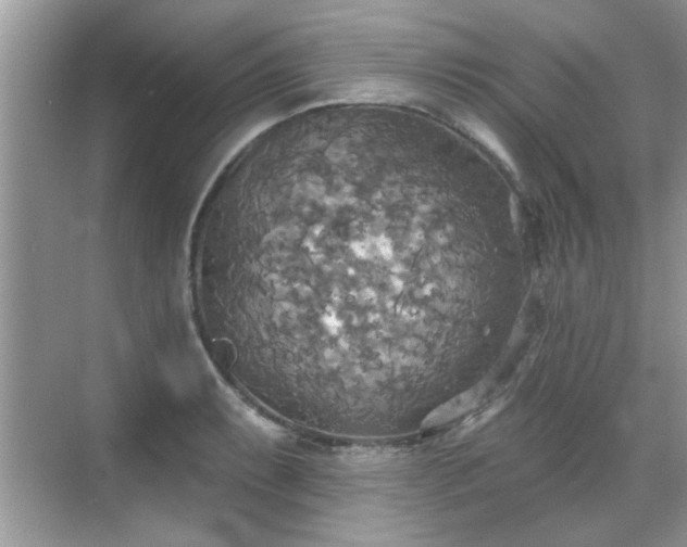 X0000070361087200606121203