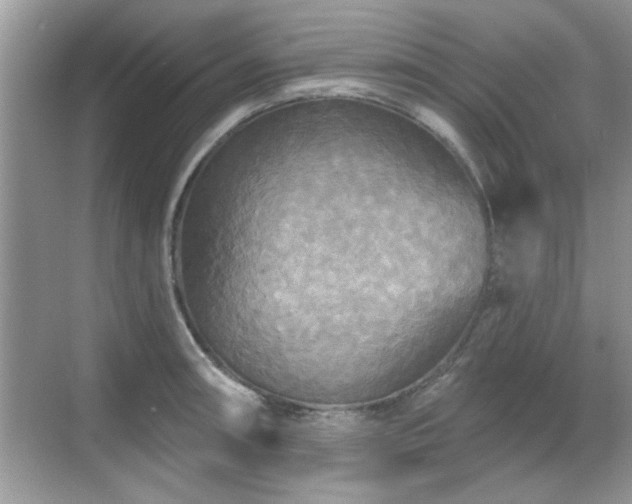 X0000070361090200606121203