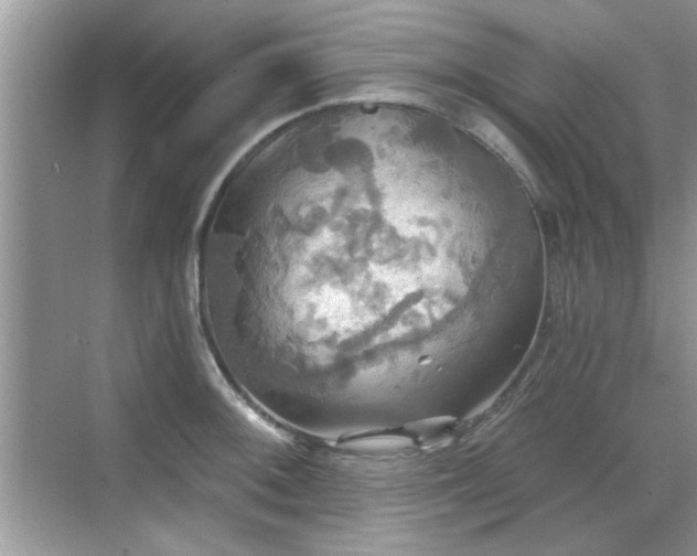 X0000070361092200606121203