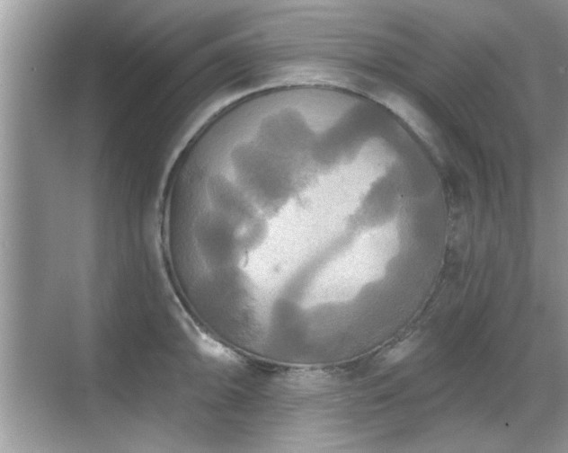 X0000070361094200606121203