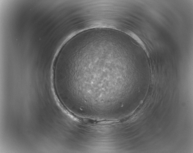 X0000070361096200606121203