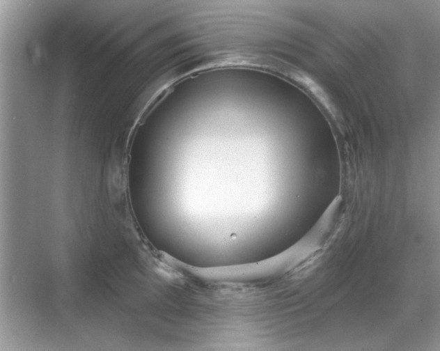 X0000070361097200606121203