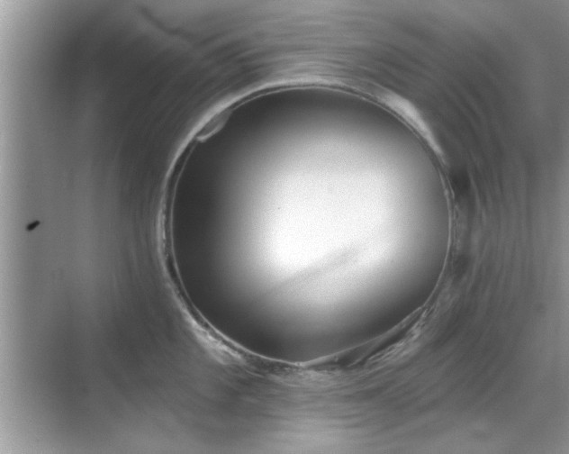 X0000070361101200606121203