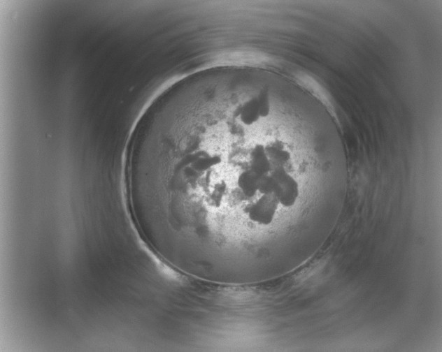 X0000070361103200606121202