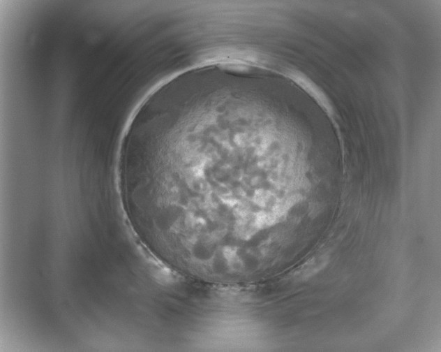 X0000070361104200606121202