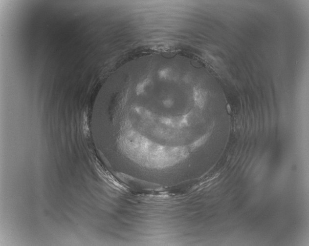 X0000070361106200606121202