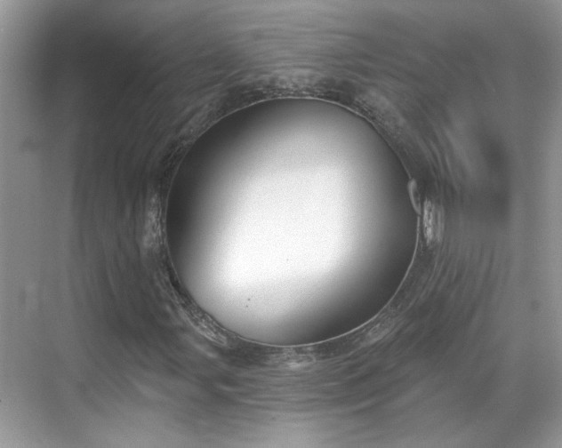 X0000070361107200606121202