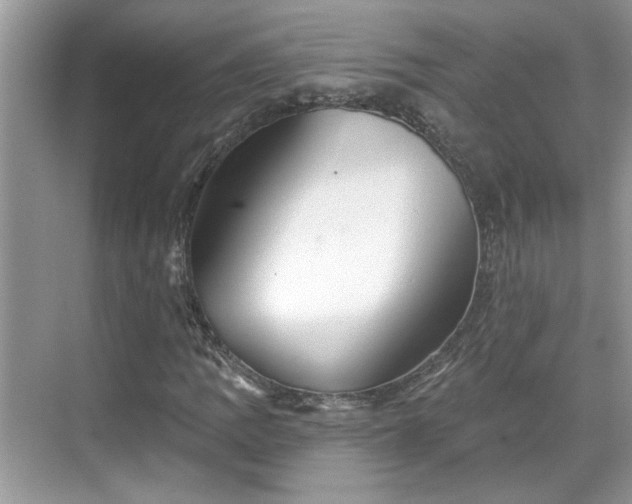 X0000070361109200606121202