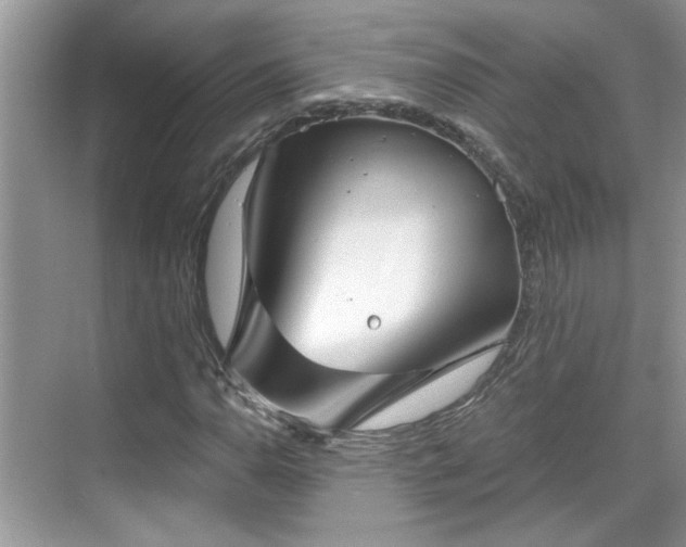 X0000070361110200606121202