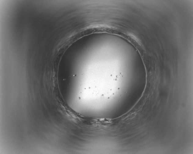 X0000070361111200606121202