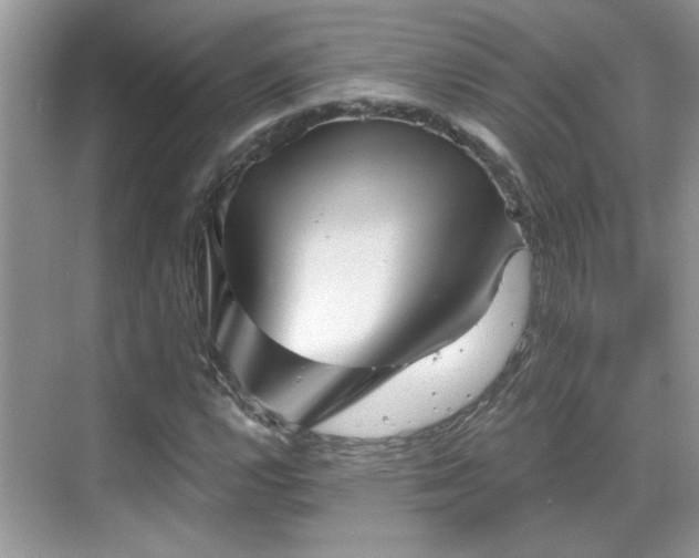 X0000070361112200606121202