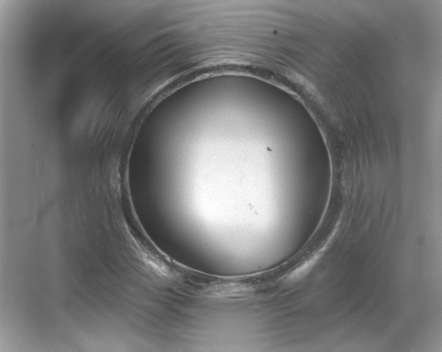 X0000070361113200606121202