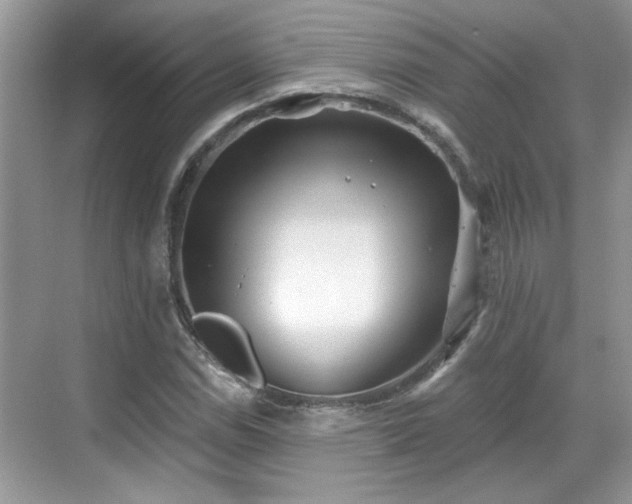 X0000070361114200606121202