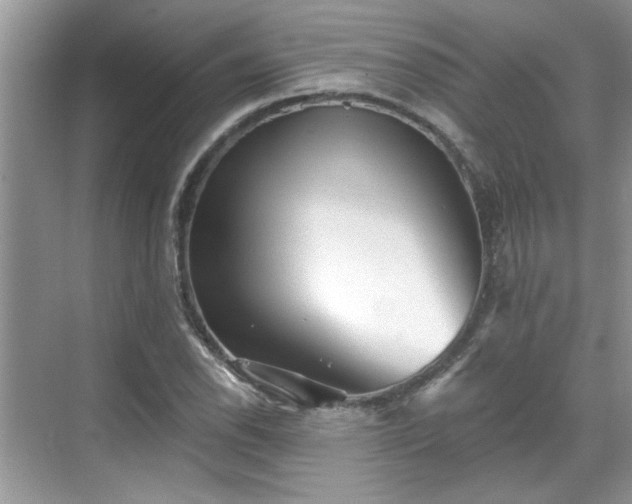 X0000070361118200606121202