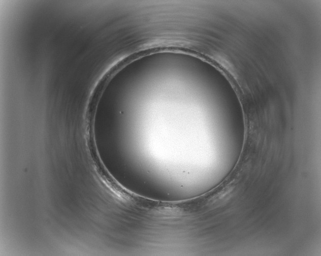 X0000070361119200606121202