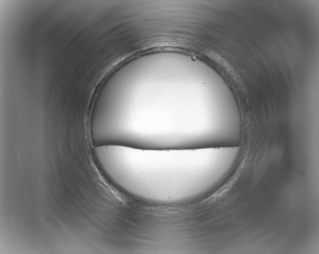 X0000070361121200606121202