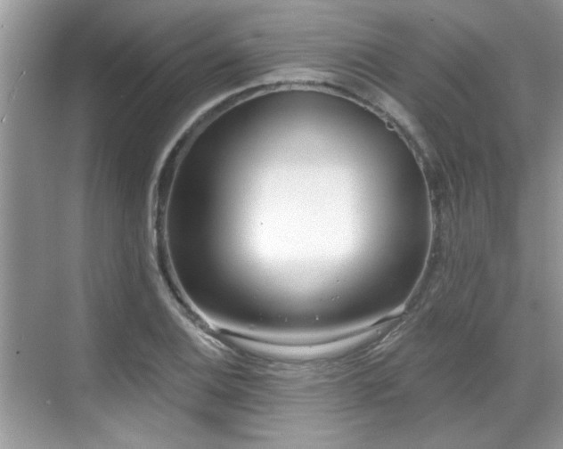 X0000070361124200606121202